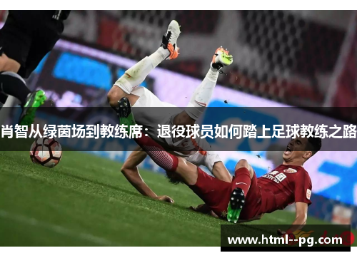 肖智从绿茵场到教练席：退役球员如何踏上足球教练之路