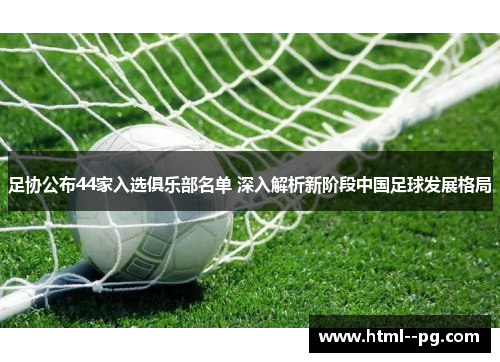 足协公布44家入选俱乐部名单 深入解析新阶段中国足球发展格局