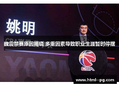 魏震禁赛原因揭晓 多重因素导致职业生涯暂时停摆